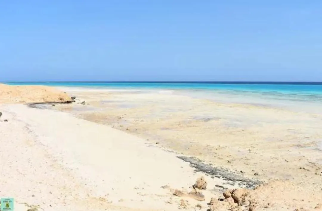🏖️🌊 Sharm El Luli & El Qulaan Tour – Marsa Alam 🐠🌴 Sharm EL Luli /IMG-20260703-WA0001.jpg